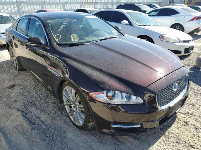 JAGUAR XJ 2013 with VIN SAJWA1C79D8V40896 - Photo from auction