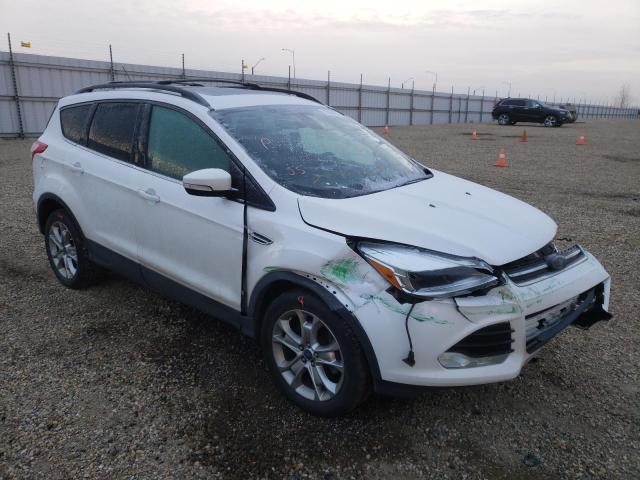 FORD ESCAPE SEL 2013 with VIN 1FMCU9H91DUA75891 - Photo from auction