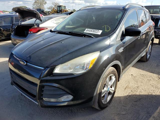 Photo 2 from auction – 2014 FORD ESCAPE SE with VIN 1FMCU0GX0EUC16558