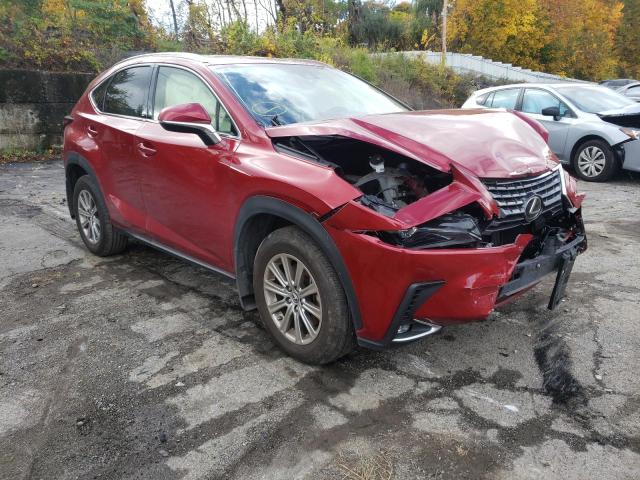 LEXUS NX 300 BAS 2021 with VIN JTJDARDZ3M5025346 - Photo from auction