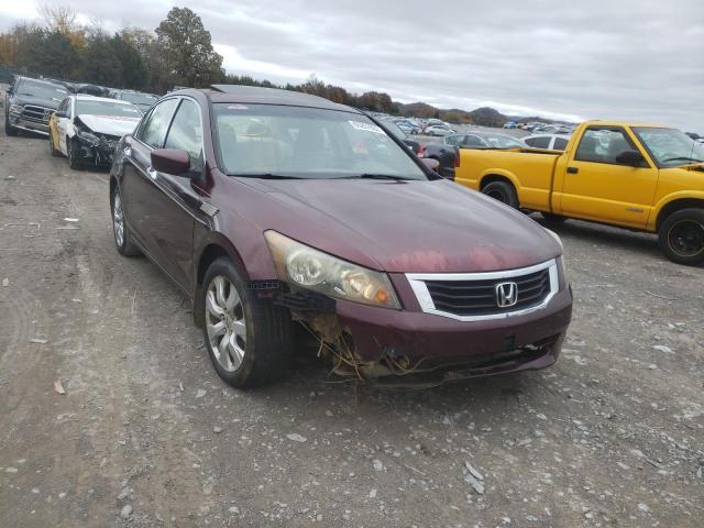 HONDA ACCORD EXL 2008 with VIN 1HGCP36848A024333 - Photo from auction