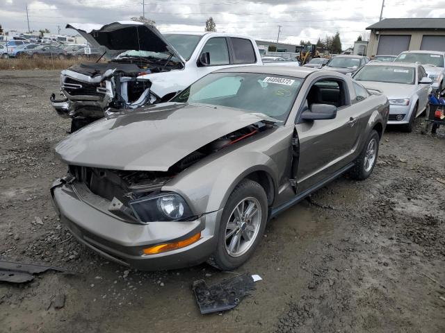 Photo 2 from auction – 2005 FORD MUSTANG with VIN 1ZVFT80N455199430