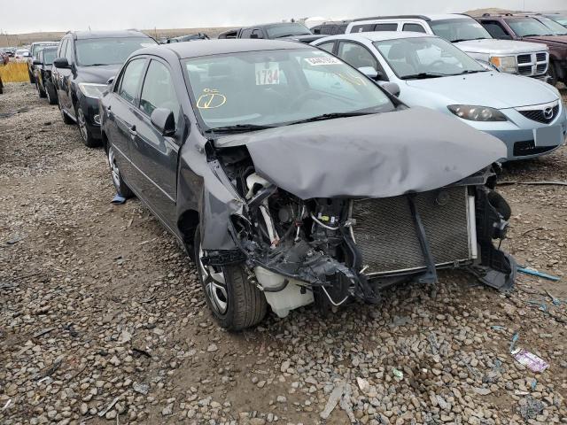 TOYOTA COROLLA BA 2009 with VIN JTDBL40E999040542 - Photo from auction
