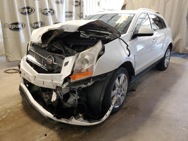 Photo 2 from auction – 2011 CADILLAC SRX PERFOR with VIN 3GYFNBEY2BS541353