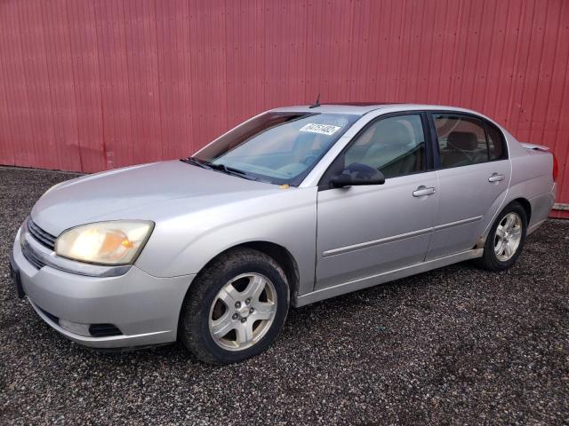 Photo 2 from auction – 2005 CHEVROLET MALIBU LT with VIN 1G1ZU54875F101803