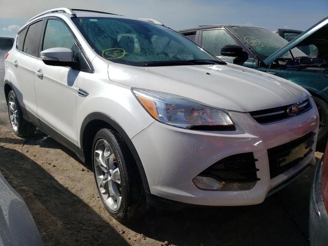 FORD ESCAPE TIT 2014 with VIN 1FMCU0J96EUE34417 - Photo from auction