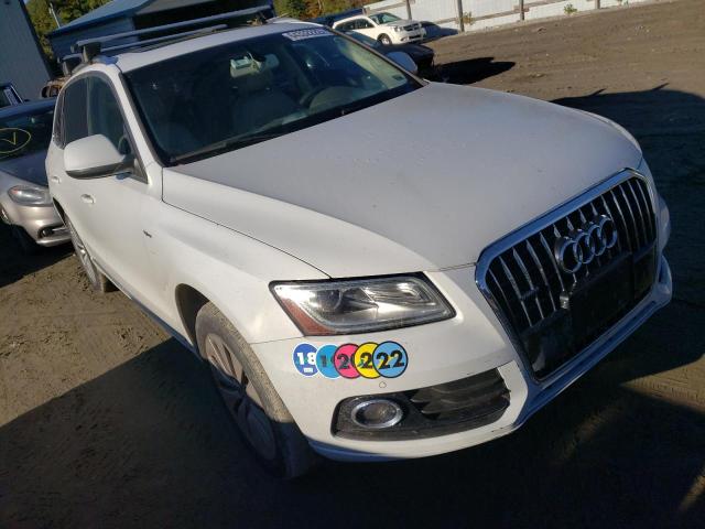 AUDI Q5 PREMIUM 2013 with VIN WA1C8AFP5DA039516 - Photo from auction
