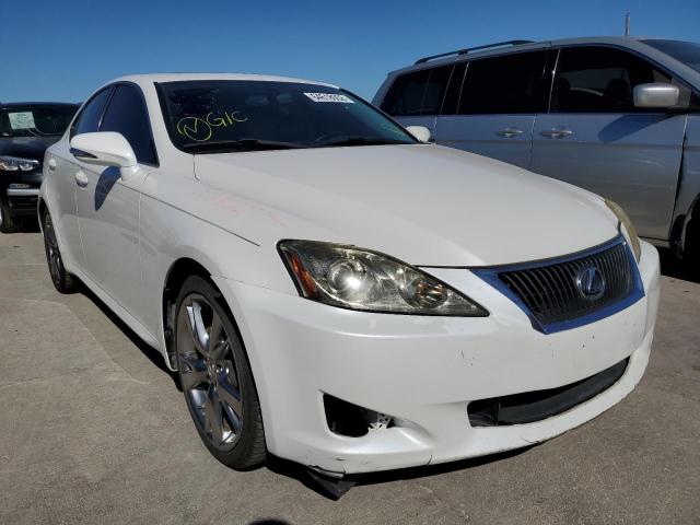 LEXUS IS 250 2009 with VIN JTHBK262195097800 - Photo from auction