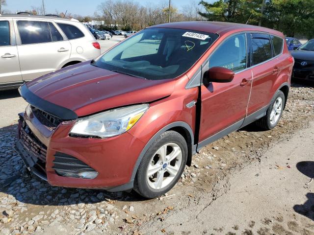 Photo 2 from auction – 2014 FORD ESCAPE SE with VIN 1FMCU0GX1EUC43638
