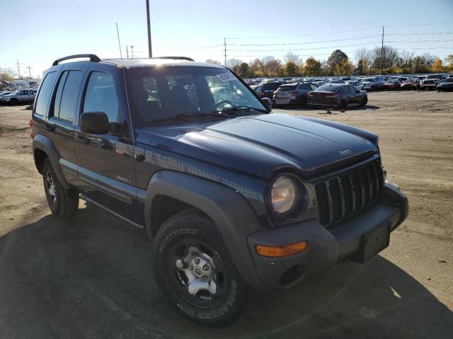 JEEP LIBERTY SP 2004 with VIN 1J4GL48K04W201607 - Photo from auction