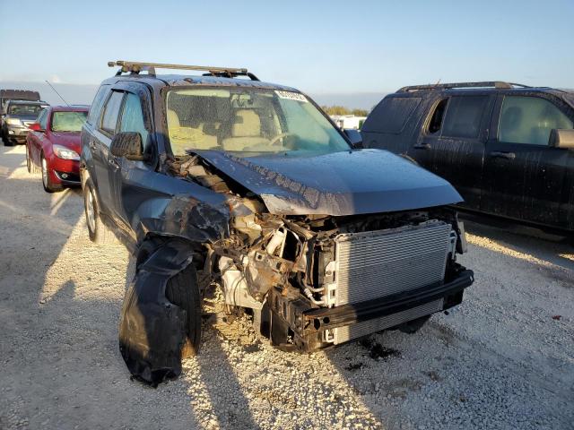FORD ESCAPE LIM 2010 with VIN 1FMCU0EG4AKB89227 - Photo from auction