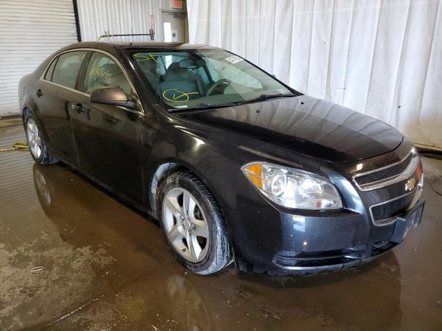 CHEVROLET MALIBU LS 2010 with VIN 1G1ZB5EB3AF307890 - Photo from auction