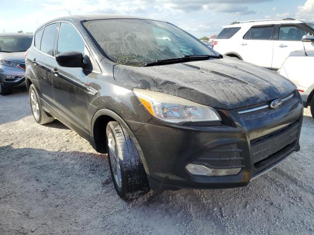FORD ESCAPE SE 2013 with VIN 1FMCU9G99DUA06559 - Photo from auction