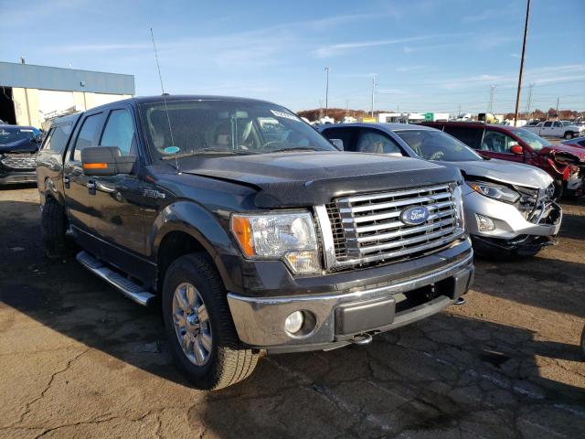 FORD F150 SUPER 2010 with VIN 1FTEW1E80AFC34825 - Photo from auction