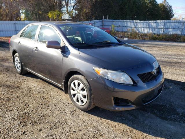 TOYOTA COROLLA BA 2010 with VIN 2T1BU4EE5AC199126 - Photo from auction