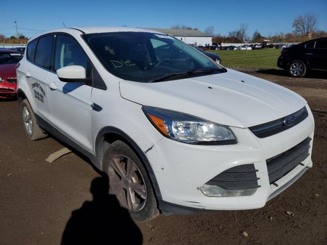 FORD ESCAPE SE 2016 with VIN 1FMCU0GX5GUC46044 - Photo from auction