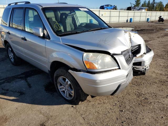 HONDA PILOT EX 2005 with VIN 5FNYF18405B020188 - Photo from auction