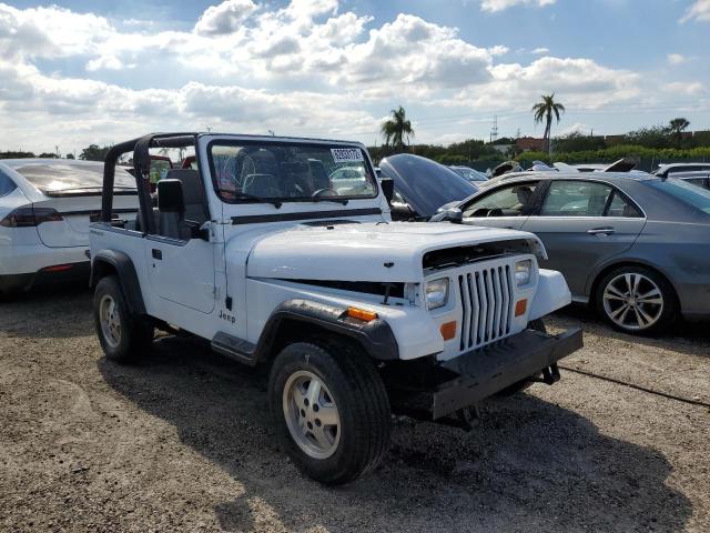 JEEP WRANGLER / 1993 with VIN 1J4FY19P9PP233315 - Photo from auction