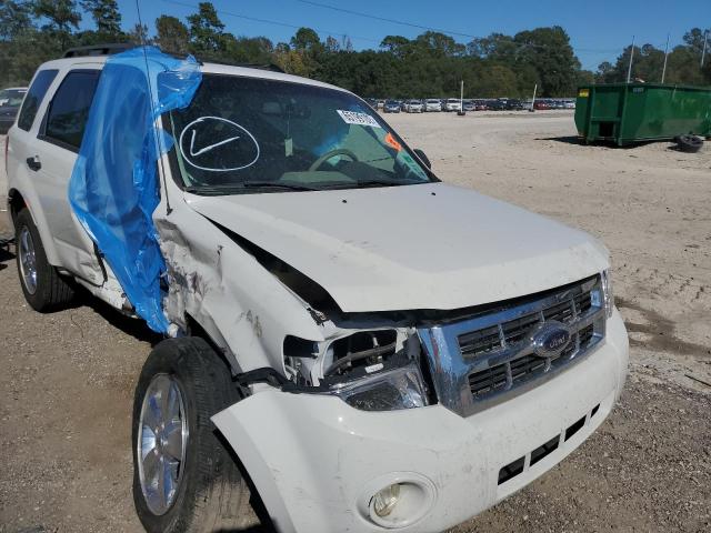 FORD ESCAPE XLT 2011 with VIN 1FMCU0D75BKC08869 - Photo from auction