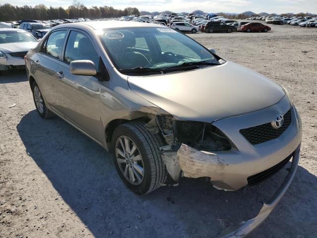 TOYOTA COROLLA BA 2009 with VIN 2T1BU40E09C040887 - Photo from auction