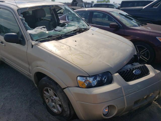 Photo 9 from auction – 2007 FORD ESCAPE LIM with VIN 1FMCU04167KA38489
