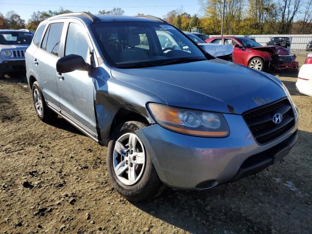 HYUNDAI SANTA FE G 2009 with VIN 5NMSG13D79H262037 - Photo from auction