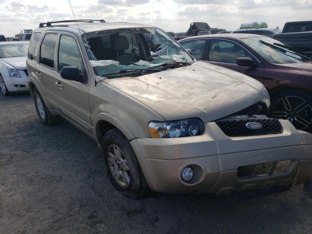 FORD ESCAPE LIM 2007 with VIN 1FMCU04167KA38489 - Photo from auction