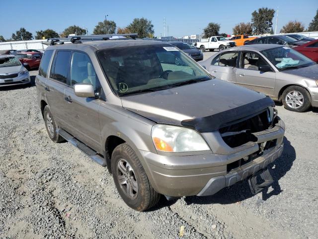 HONDA PILOT EXL 2005 with VIN 2HKYF18645H531809 - Photo from auction