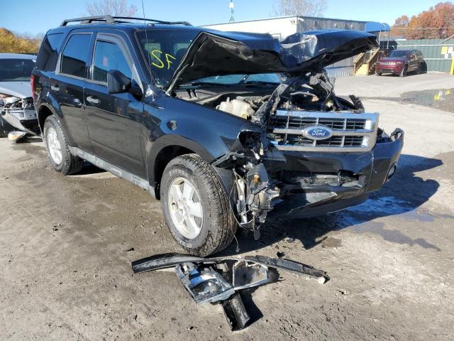 Photo 1 from auction – 2010 FORD ESCAPE XLT with VIN 1FMCU9D76AKC16188