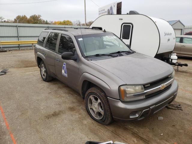 CHEVROLET TRAILBLAZE 2008 with VIN 1GNDS13S082199203 - Photo from auction