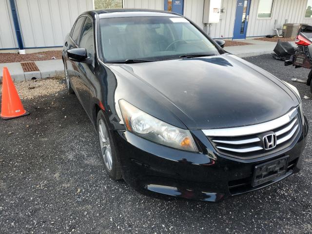 HONDA ACCORD EXL 2011 with VIN 1HGCP2F81BA087102 - Photo from auction