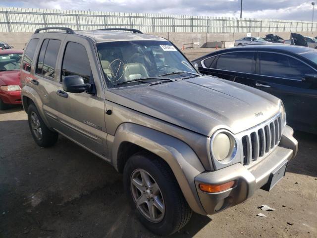 JEEP LIBERTY 2003 with VIN 1J4GL58K13W623549 - Photo from auction