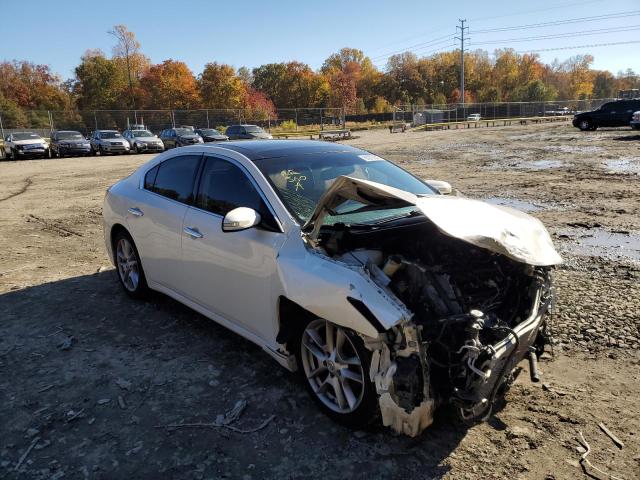 NISSAN MAXIMA S 2009 with VIN 1N4AA51E79C842716 - Photo from auction