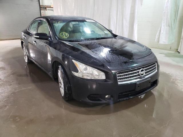 NISSAN MAXIMA 2009 with VIN 1N4AA51E59C861605 - Photo from auction