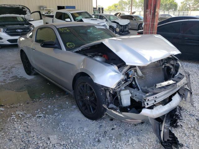 FORD MUSTANG 2014 with VIN 1ZVBP8AM3E5319095 - Photo from auction