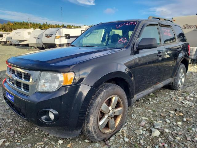 Photo 2 from auction – 2011 FORD ESCAPE XLT with VIN 1FMCU9DG6BKB9593