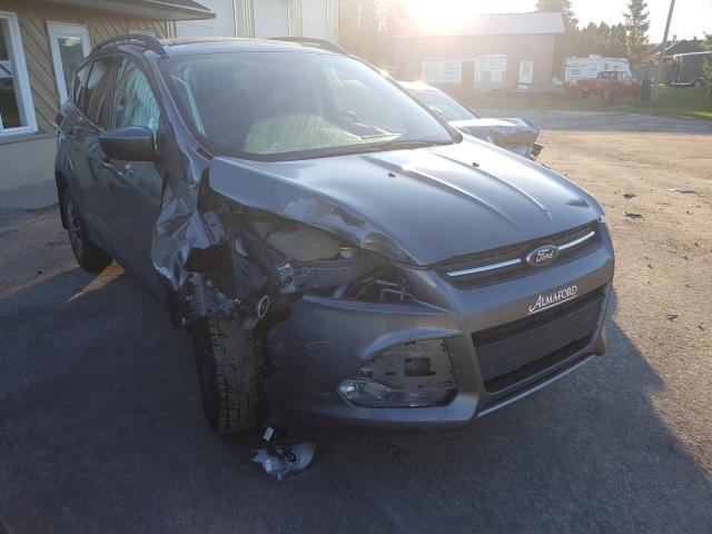 FORD ESCAPE SE 2014 with VIN 1FMCU9G99EUC32621 - Photo from auction