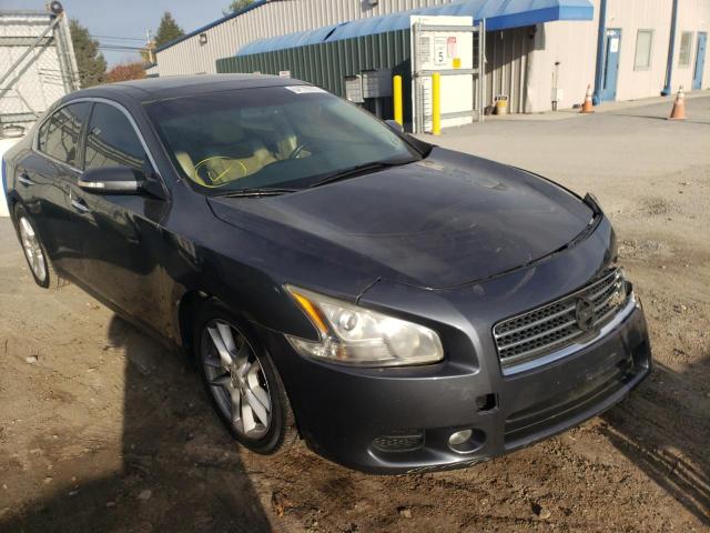 NISSAN MAXIMA S 2009 with VIN 1N4AA51E49C822567 - Photo from auction