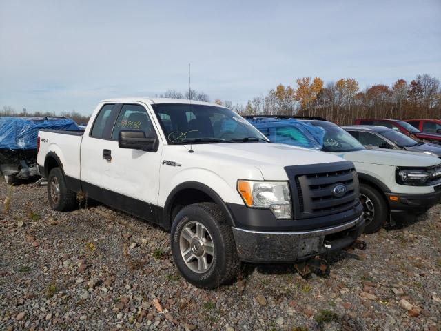 FORD F150 SUPER 2009 with VIN 1FTRX14W59FA86004 - Photo from auction