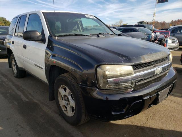 CHEVROLET TRAILBLAZE 2003 with VIN 1GNDT13S032338333 - Photo from auction