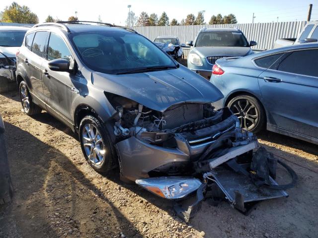 FORD ESCAPE SEL 2013 with VIN 1FMCU0H98DUD35974 - Photo from auction