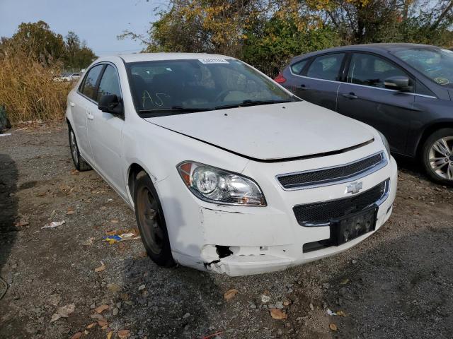CHEVROLET MALIBU LS 2010 with VIN 1G1ZB5EB8A4131673 - Photo from auction