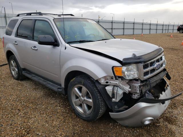 FORD ESCAPE XLT 2011 with VIN 1FMCU0DG2BKB93926 - Photo from auction