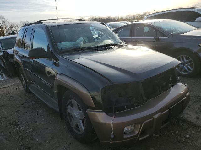 CHEVROLET TRAILBLAZE 2003 with VIN 1GNDT13S232297946 - Photo from auction