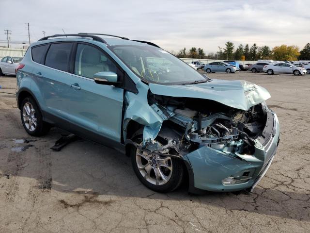 FORD ESCAPE SEL 2013 with VIN 1FMCU0HX9DUD49669 - Photo from auction