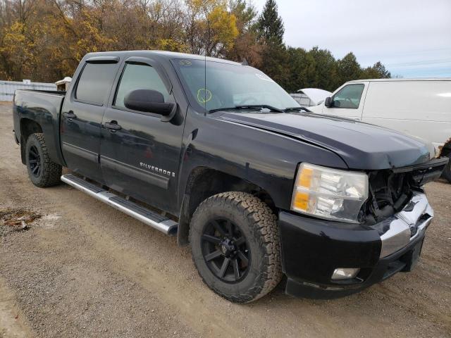 CHEVROLET SILVERADO 2009 with VIN 3GCEC13019G237278 - Photo from auction