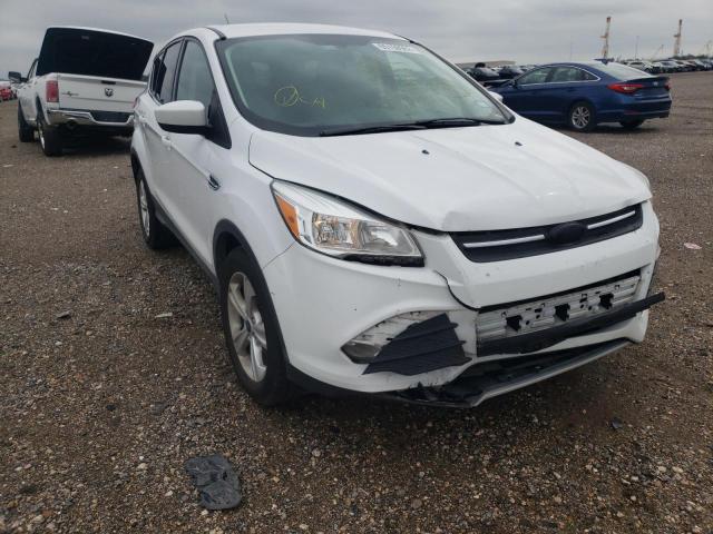 Photo 1 from auction – 2014 FORD ESCAPE SE with VIN 1FMCU0GX6EUE20863