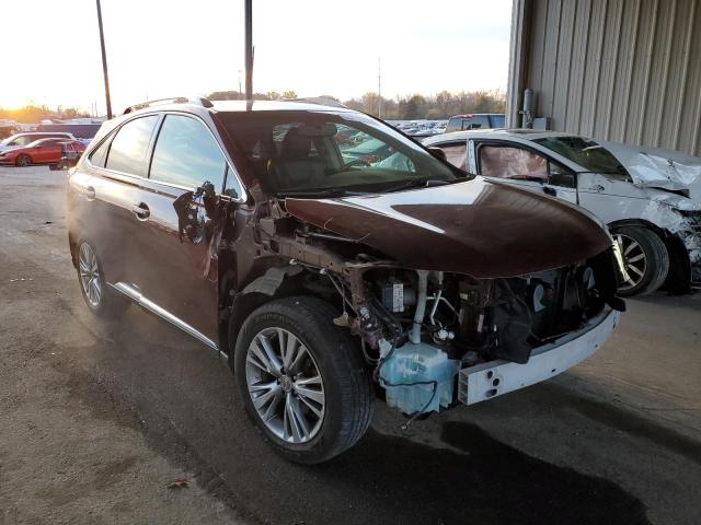 LEXUS RX 350 BAS 2013 with VIN 2T2BK1BA8DC179765 - Photo from auction