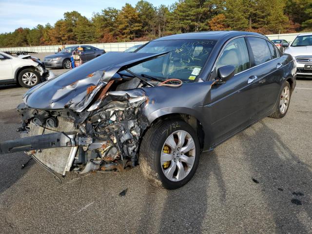 Photo 2 from auction – 2008 HONDA ACCORD EXL with VIN 1HGCP368X8A074993