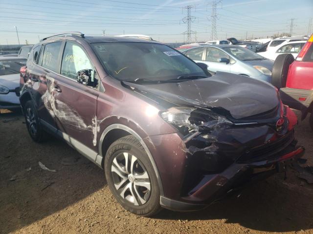 TOYOTA RAV4 LE 2017 with VIN 2T3BFREV1HW549729 - Photo from auction
